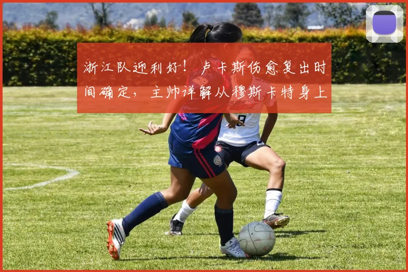 浙江队迎利好！卢卡斯伤愈复出时间确定，主帅详解从穆斯卡特身上学到了什么