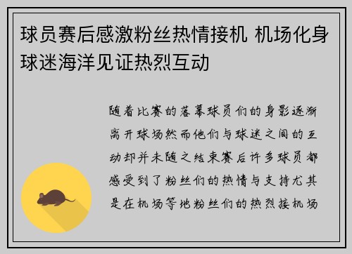 球员赛后感激粉丝热情接机 机场化身球迷海洋见证热烈互动